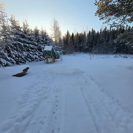 Hébergement de vacances Spacious Family House - Sauna, Hot Tub & Grill Hut *